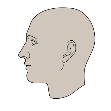 Hand drawn androgynous, gender-neutral human head in profile. Colorable flat vector isolated on white background.