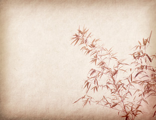 Fototapeta premium bamboo on old grunge paper texture background
