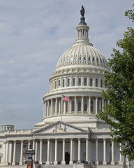 Obraz premium Washington Capital