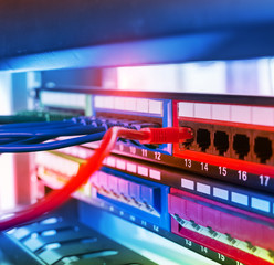 row of network cables are connected to a switch