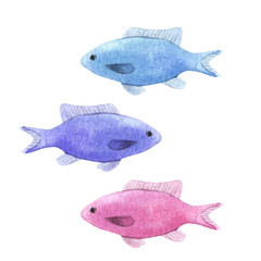 A set of tropical colored fish, in a watercolor style.