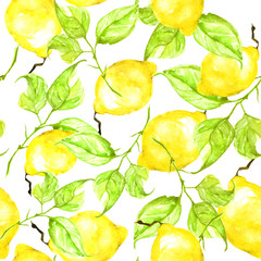 Vintage seamless watercolor pattern - hand drawing threads of lemon, lime  with leaves. Trendy pattern. Painting  Citrus fruits. The picture is yellow and green. Branch with citrus fruit.