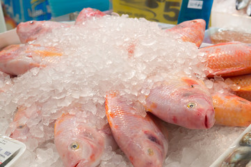 Red Tilapia Fish pile frozen in ice on sale in supermarket