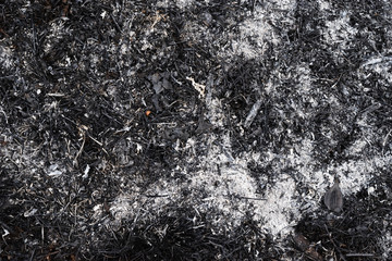 Gray and white abstract lines on black surface , The ashes of the burned tree , Texture for add text or graphic design 
