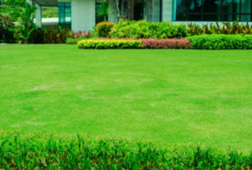 Blurring image green lawn, the front lawn for background, garden landscape design.