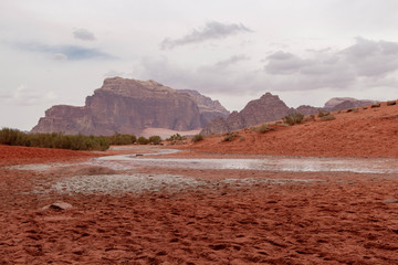 Wasser in der W&uuml;ste