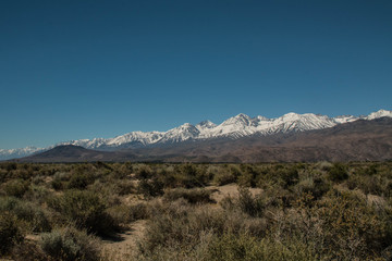 Desert Floor with Snow Covered Mountains