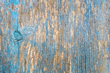 Natural background - an old tree texture, uneven painted blue, turquoise peeling paint