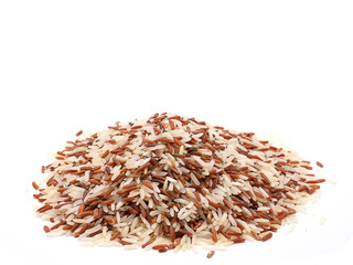  rice weevils on rice grains.