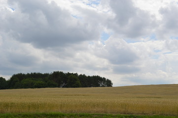 field