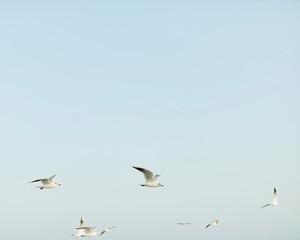 韓国・釜山　海雲台