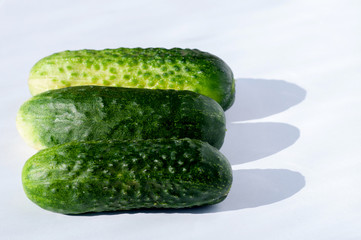 fresh cucumbers isolated on white