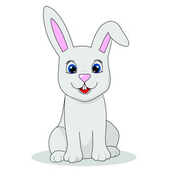vector cat illustration hare, rabbit coloring