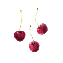 Watercolor cherry set