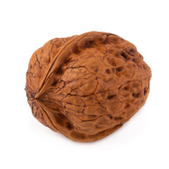 Dry Walnut isolated on a white background