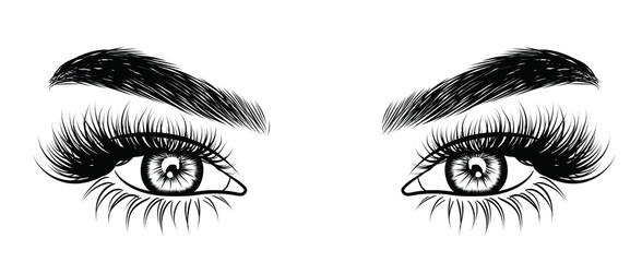 Illustration of woman's sexy luxurious eye with perfectly shaped eyebrows and full lashes. Hand-drawn Idea for business visit card, typography vector. Perfect salon look.