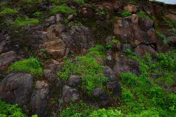 Green landscape surrounded by hills, mountains in monsoon season 