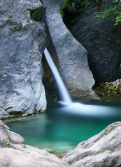 Fototapeta premium waterfall in the forest