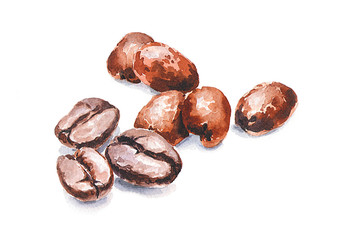 Coffee beans scattered on a white background