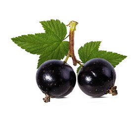 black currant isolated on white