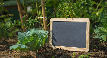 Slate blackboard on the vegetable garden