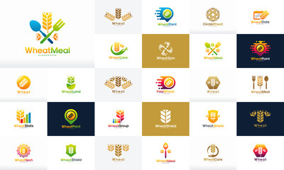 Set of Wheat Grain logo designs vector, Collection of Agriculture Wheat grain vector concept