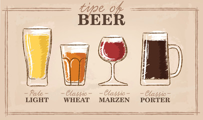 Beer types. A visual guide to types of beer. Various types of beer in recommended glasses. Vector illustration