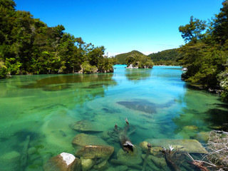 Lagoon with clear water, Abel Tasman National Park, New Zealand