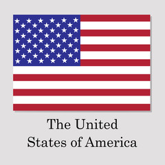 us flag isolated on grey background with shadow lettering