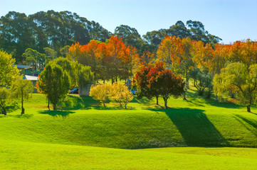 Green Park and green and red fall trees in urban City at Sunset. Autumn landscape