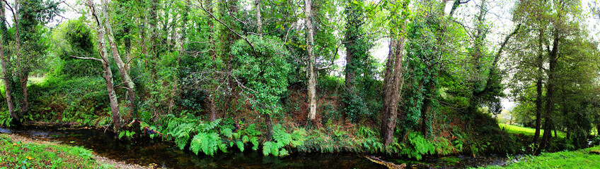 R&iacute;o en Valadouro