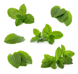 Set of fresh mint leaves isolated on white