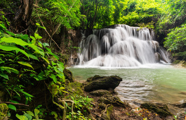 Fototapeta premium Beautiful waterfall in tropical rainforest at Kanchanaburi province, Thailand