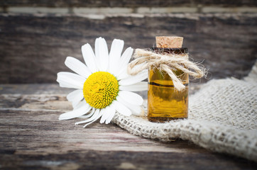 Chamomile flower essential oil. Naturopathy. Herbal medicine.
