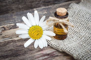 Obraz na płótnie Canvas Chamomile flower essential oil. Naturopathy. Herbal medicine.