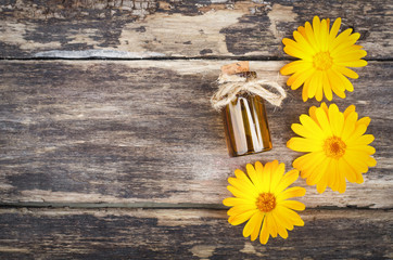 Calendula flower essential oil. Naturopathy. Herbal medicine.