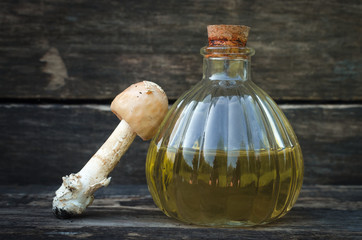 Amanita poisonous fungus tincture. Homeopathy.