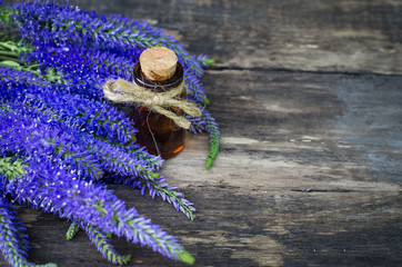 Veronica longifolia flower essential oil. Naturopathy. Herbal medicine.