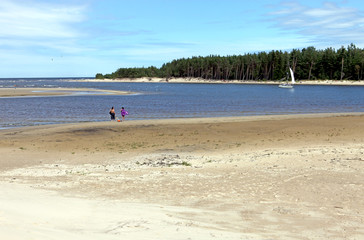 People walking on a beautiful sandy beach with dunes, lagoon and forest, Baltic Sea Jurmala, Latvia