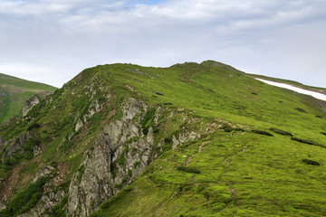 Lit by morning sun wide green valley, hills covered with grass and distant misty mountain rocks under bright blue summer sky and white puffy clouds. Beauty of nature, tourism and traveling concept.