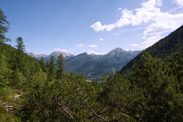 Panorama lungo la salita al Rifugio Pacherini da Forni di Sopra