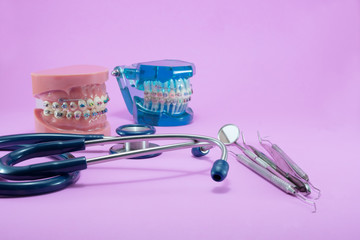 orthodontic model and dentist tool - demonstration teeth model of varities of orthodontic bracket...
