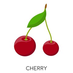 Cherry berry flat icon isolated on white background. Healthy fruit. Berries with stems and green leaves. Eco delicious food. Vector illustration