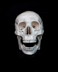 Skull. Human skull with its mouth open.
