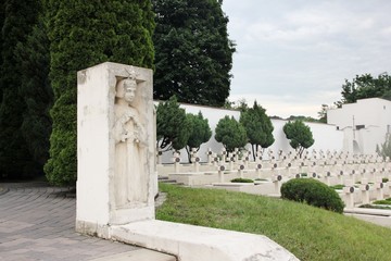 Fototapeta na wymiar Cemetery of the Defenders of Lviv (Cemetery of Eaglets) - part of the Lychakiv Cemetery in Lviv, Ukraine 