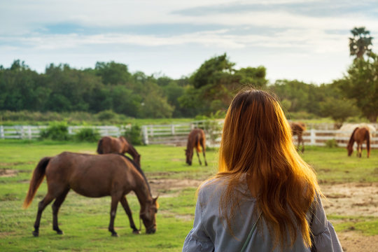 beautiful women looking horse in farmland.