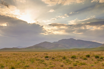 Livestock in Zagros mountains Iran