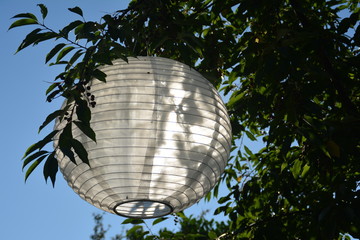 Lampion