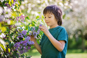 Cute preshcool boy, enjoying lilac flowers bush in blooming garden