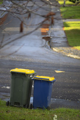 Fototapeta na wymiar Recycling bins on suburban street